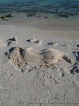 Sand Sculpture: Lovers