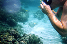 Taking underwater photos
