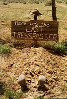 Last Tresspasser